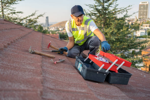 Best Fiber Cement Siding Installation  in Waverly, MI